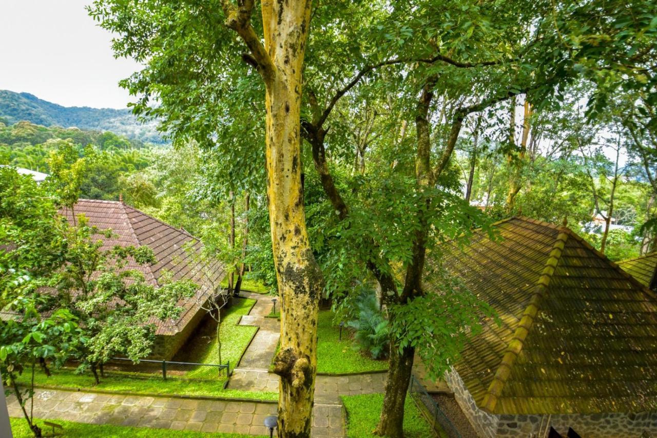 Hotel Treetop Теккади Экстерьер фото
